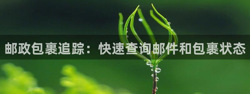 28圈正规吗