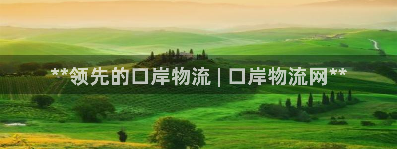 28圈.ccm2024