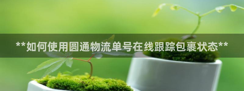 28圈能提现吗：**如何使用圆通物流