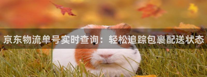 南宫28圈怎么注册：京东物流单号实时