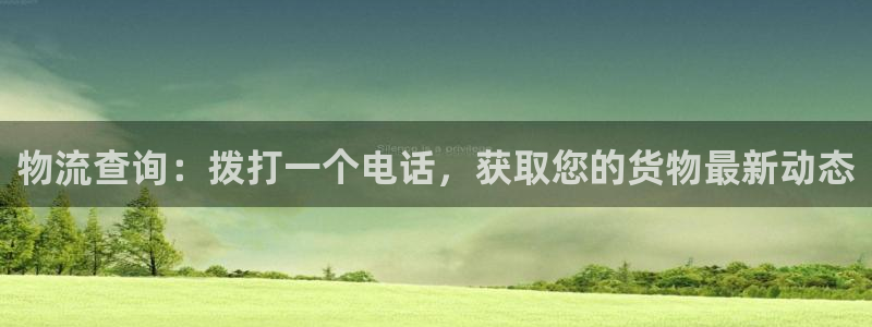 28圈注册网页版：物流查询：拨打一个