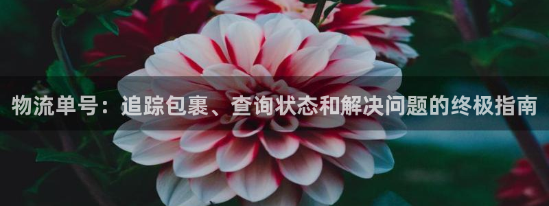 28圈加拿大在线预测：物流单号：追踪