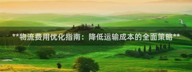 28圈电子游戏