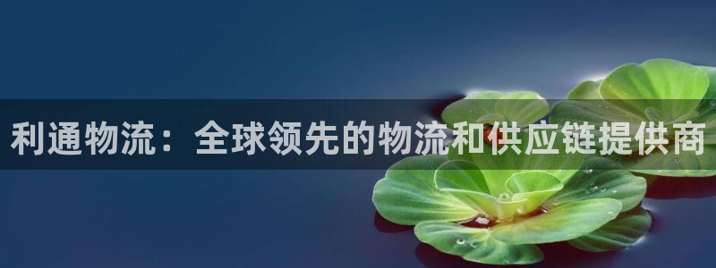 28圈链接来一个：利通物流：全球领先