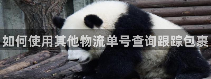 28圈系统自动保护：如何使用其他物流