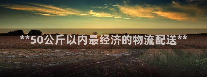 28圈在线预测