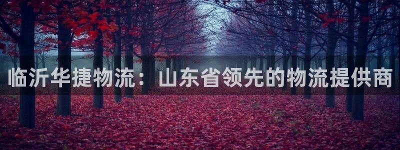 28圈二维码：临沂华捷物流：山东省领
