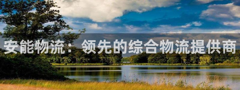 28圈游戏官网版：安能物流：领先的综