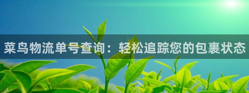 28圈女王中奖记录查询