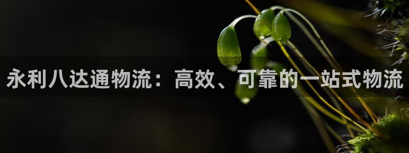 28圈注册网站多少：永利八达通物流：