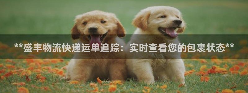 28圈提款一直没到：**盛丰物流快递