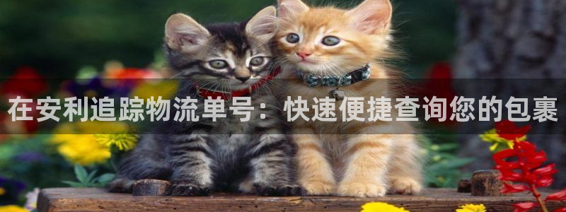 28圈注册网站链接：在安利追踪物流单