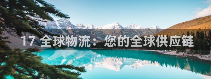 28圈注册网址： 17 全球物流：您