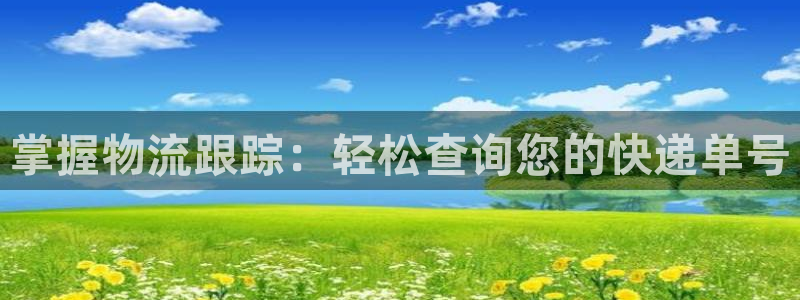 28圈官方网站预测：掌握物流跟踪：轻