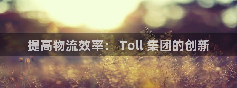 28圈网站平台是多少：提高物流效率：