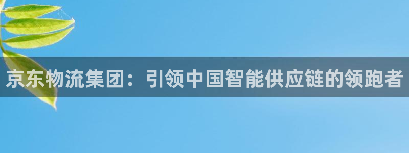 28圈预测