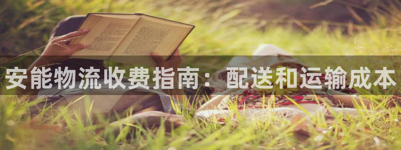 28圈官方官网：安能物流收费指南：配