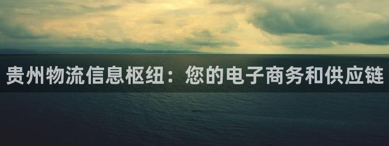 28圈注册入口与教程：贵州物流信息枢