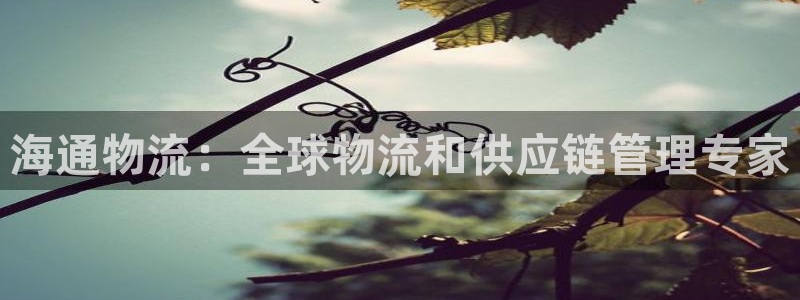 28圈充值不到账