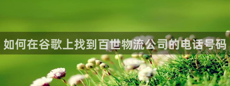 28圈辅助
