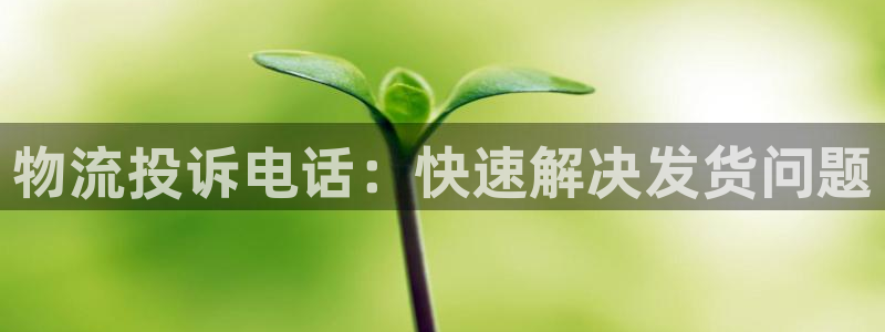 28圈如何看012路计划：物流投诉电