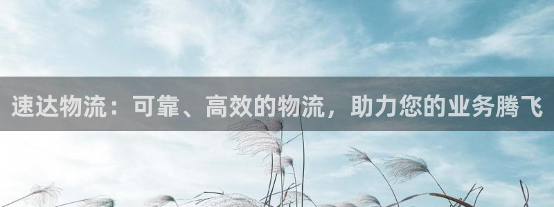 28圈登录网：速达物流：可靠、高效的