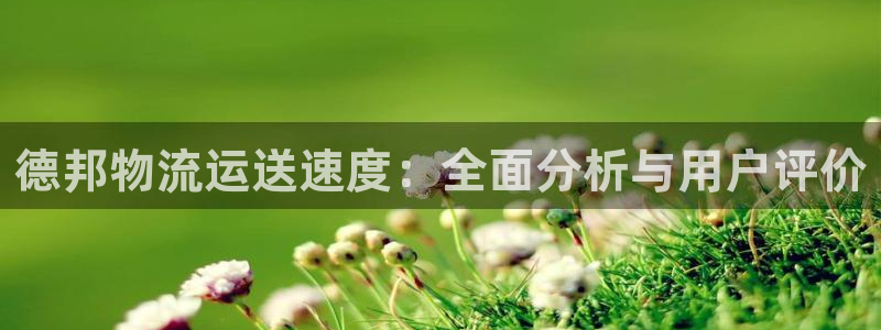 28圈.ccm正版