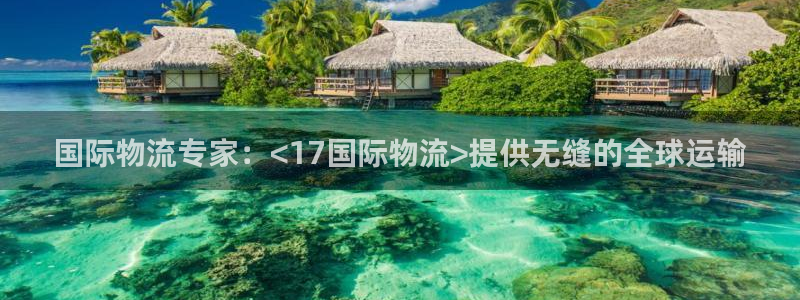 28圈入口问一问：国际物流专家：<1