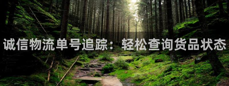 28圈入口问一问