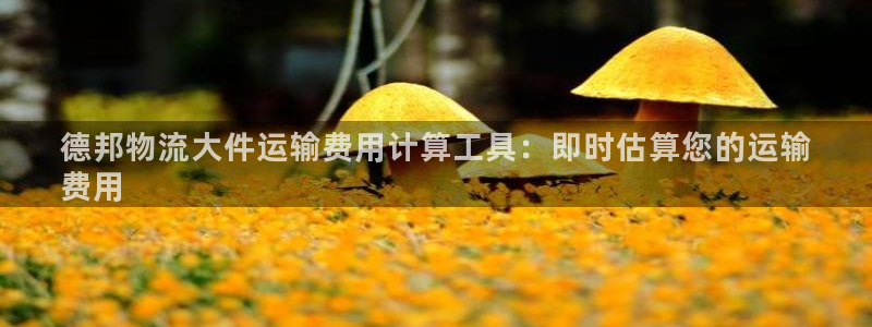 28圈体育下载