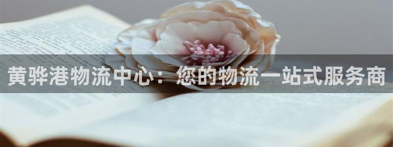 28圈注册登录：黄骅港物流中心：您的