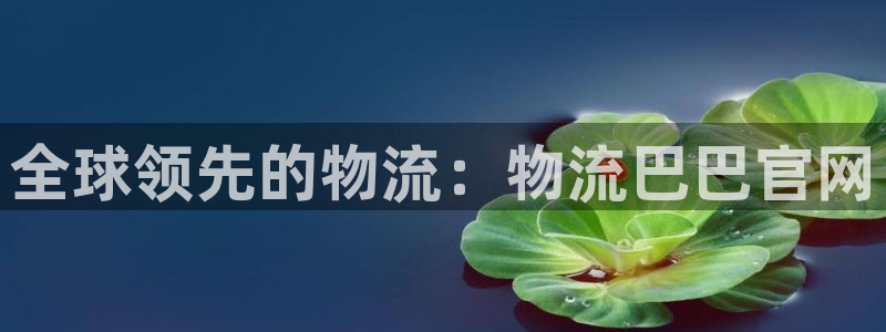 28圈选28ng官网