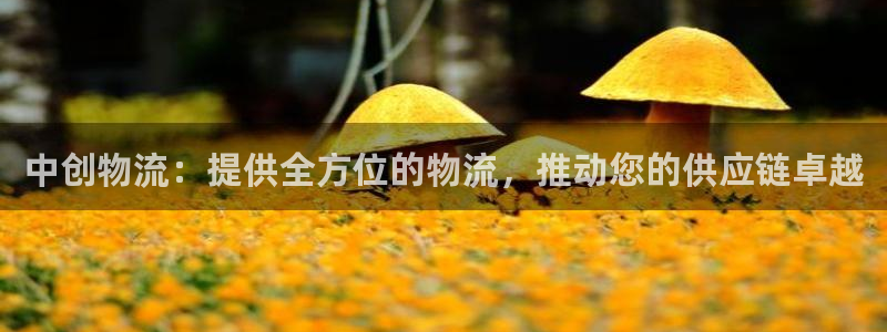 28圈下载二维码：中创物流：提供全方