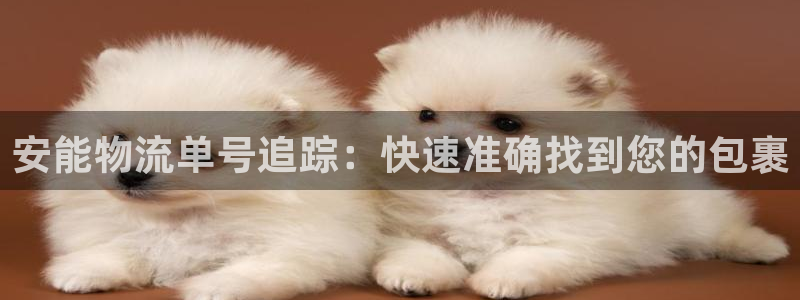 28圈黑吗