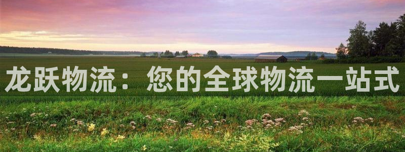 28圈加拿大28：龙跃物流：您的全球