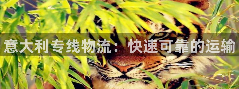 28圈麻将胡了在线试玩：意大利专线物