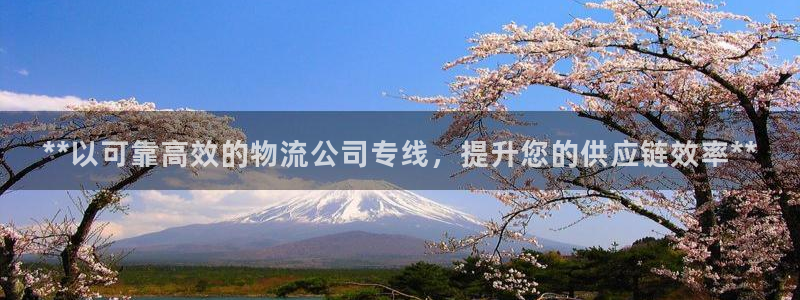 28圈的平台