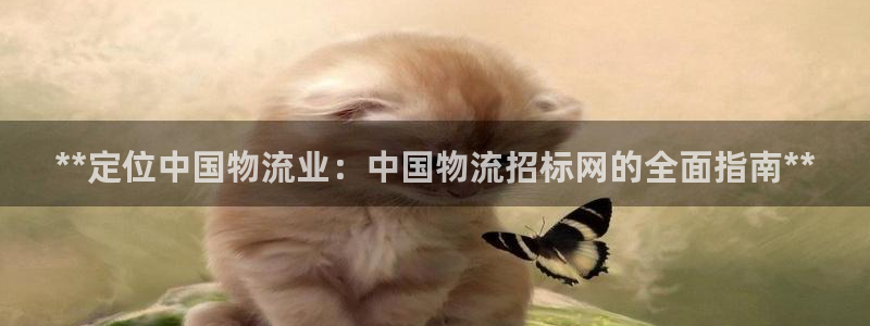 28圈游戏官网版