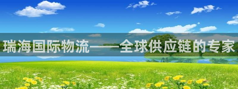 28圈软件是诈骗吗：瑞海国际物流——