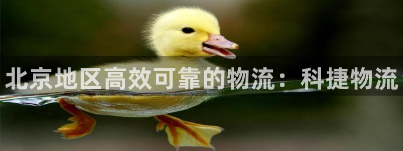 28圈加拿大模拟器