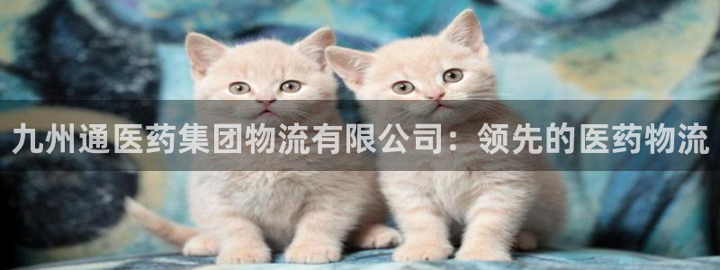 28圈注册网站谁有：九州通医药集团物