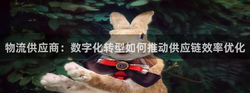 28圈官网平台下载