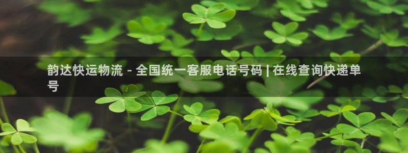 28圈圈：韵达快运物流 - 全国统一