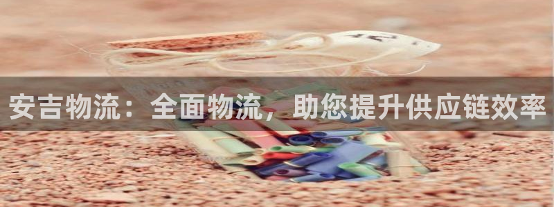 28圈是什么软件：安吉物流：全面物流