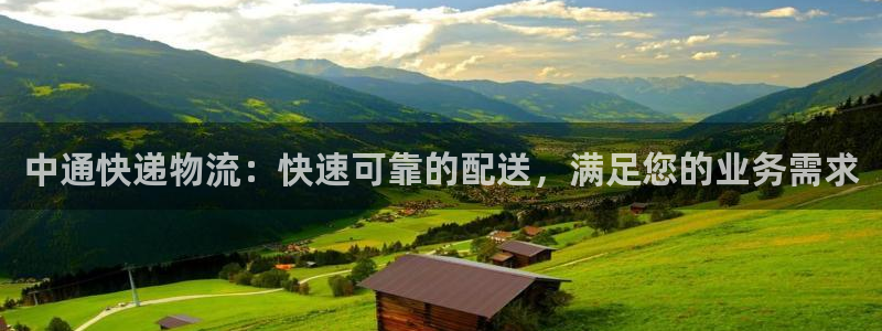 28圈免费：中通快递物流：快速可靠的