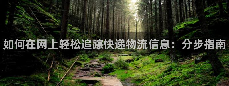 28圈注册网址：如何在网上轻松追踪快