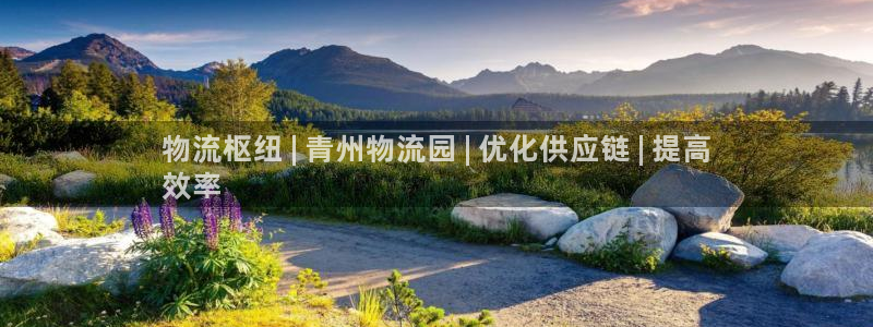 28圈app怎么注册账号：物流枢纽 