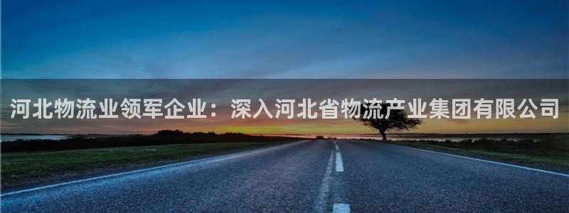 28圈注册账号：河北物流业领军企业：