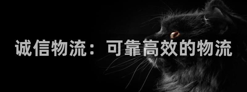 28圈连接