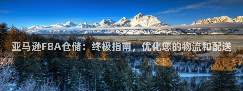 28圈加拿大开奖：亚马逊FBA仓储：